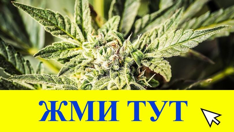 Купить наркотики в Кызыле